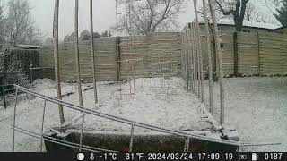 24 hour snowstorm timelapse, 24-25 March 2024