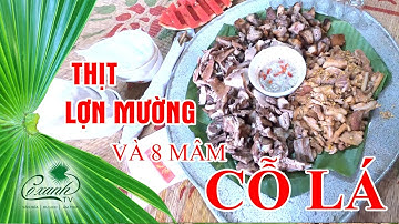 THỊT LỢN MƯỜNG VÀ 8 MÂM CỖ LÁ   I    CỌ XANH TV