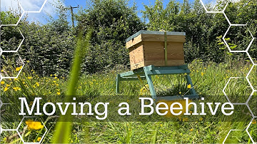 Moving a Beehive (quick tips)