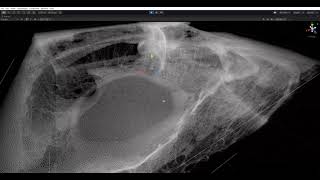 Famous Position based fluids Net Worth