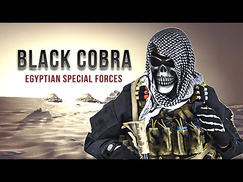 Black Cobra Egyptian Special Forces Military Motivation 