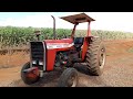 MF 290 série Record o rei da massey em detalhes toledo pr