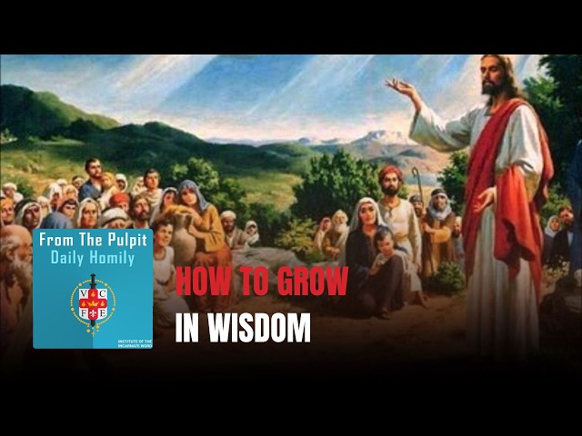 Home 2 Daily IVE Homilies, July 23rd, 2026 - How to Grow in Wisdom