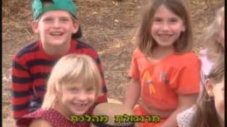 אפרוחים - תרנגולת