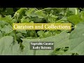 Vegetable Curator Kathy Reitsma | Curators and Collections