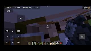 Pahli bar Java Minecraft ki hai 