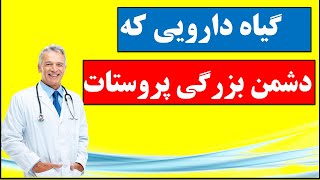 Prostate گیاه دارویی که دشمن بزرگی پروستات