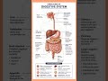 digestive system,,#human digestive system #digestion #process to #biology #anatomy #nursingnotes