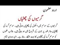 Essay On Summer Vacation In Urdu Essay On Summer Holidays اردو مضمون گرمیوں کی چھٹیاں Essay On Summer Vacation In Urdu Essay On Summer Holidays اردو مضمون گرمیوں کی چھٹیاں