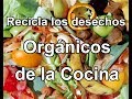 Lombricompostera para el reciclaje de desechos orgánicos de la cocina