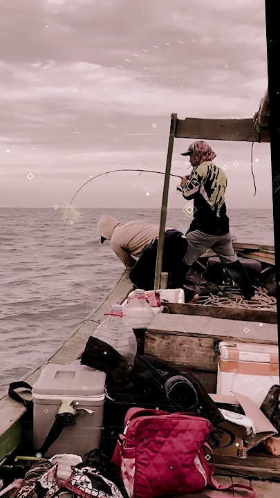 Mancing di Pulau Seribu, Dombret strike Tongkol #mancingtuna #viral2025