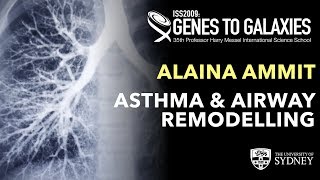 Asthma and Airway Remodelling — Associate Professor Alaina Ammit