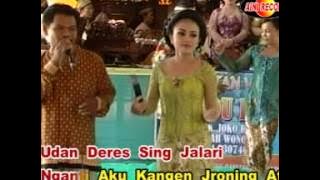PRING KUNING, KOPLO JOWO MADU RETNO