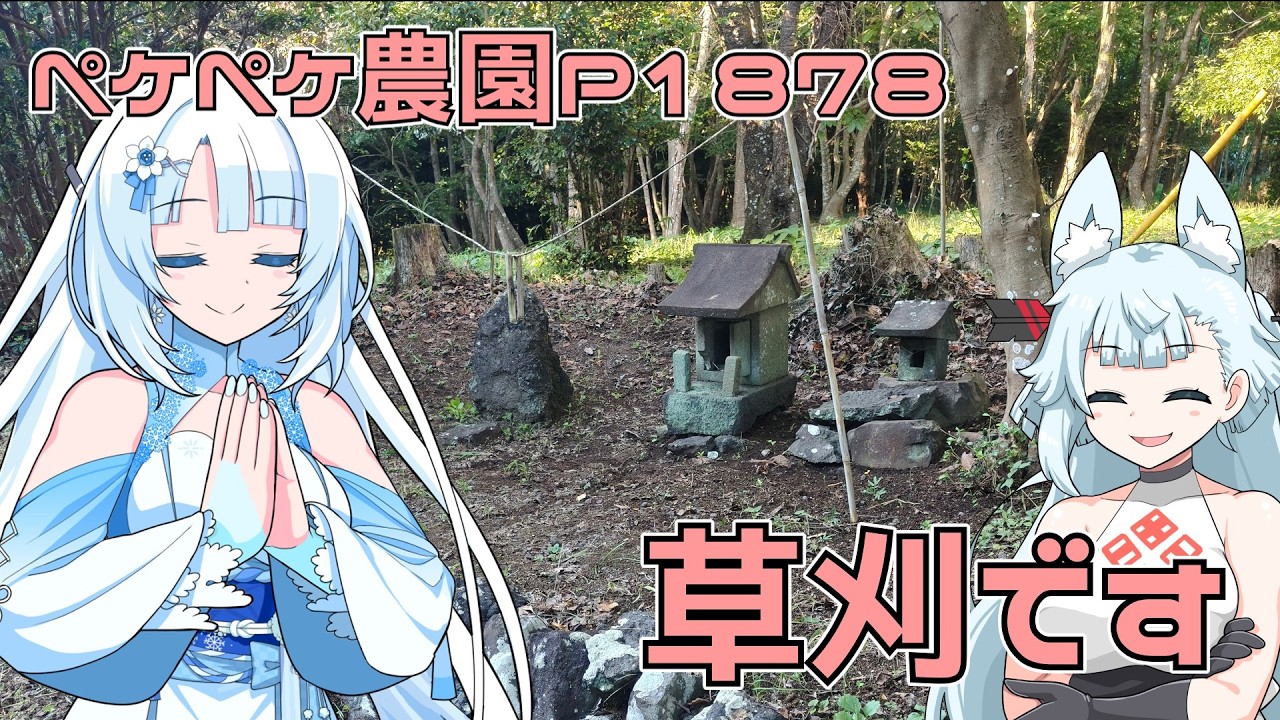 2026年10月13日 日記1878 神社の草刈りもやらなきゃダメだよね?