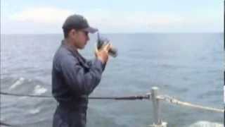 U.S. Navy continues the search for MH370 as USS Kidd (DDG 100) transits the Strait of Malacca