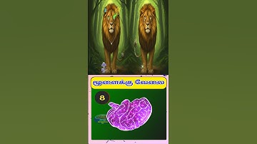 Brain game 182|Find the differences ?#braingame #tamil #braingames #shorts #braintest #games #sindi