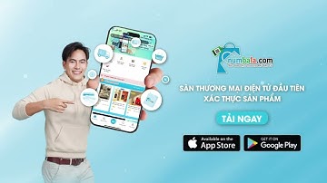 Nền Tảng Thương Mại Điện Tử Numbala (Định hướng B2B Wholesale & Xuất khẩu)