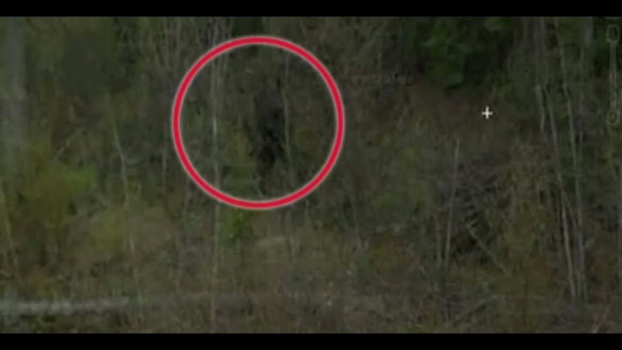 места на гугл картах. страшные маста на карте. страшные места на карте. страшные места на карте. места на гугл картах.