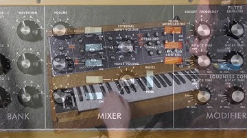 New Moog Minimoog Model D Demonstration