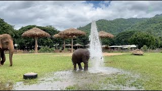 Baby Elephant Wan Mai Have A Great Fun With The Broken Water Pipe - ElephantNews