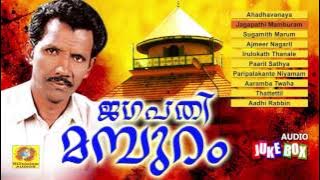 രണ്ടത്താണി ഹംസാക്കയുടെ തേനൂറും മാപ്പിളപ്പാട്ടുകൾ ജഗപതി മമ്പുറം | Mappilapattukal 2017