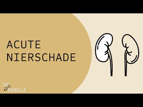 Acute Nierschade