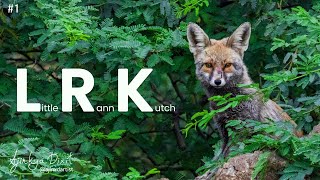 Lrk Vlog Part 1 Wildlife With Ajinxd Artist