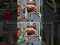 "Avoid This Mistake in Bent Over Dumbbell Reverse Fly!"#shorts #fitneess #gym Mp3 Song