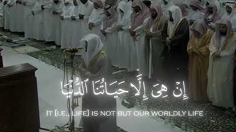 إنه القرآن الكريم لا تهرب🥺♥️🇵🇸🌹