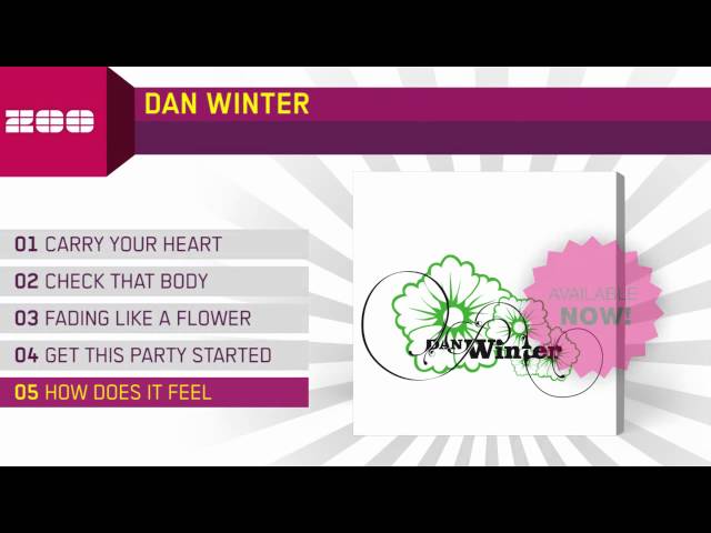 Dan Winter - How Does It Feel 2011