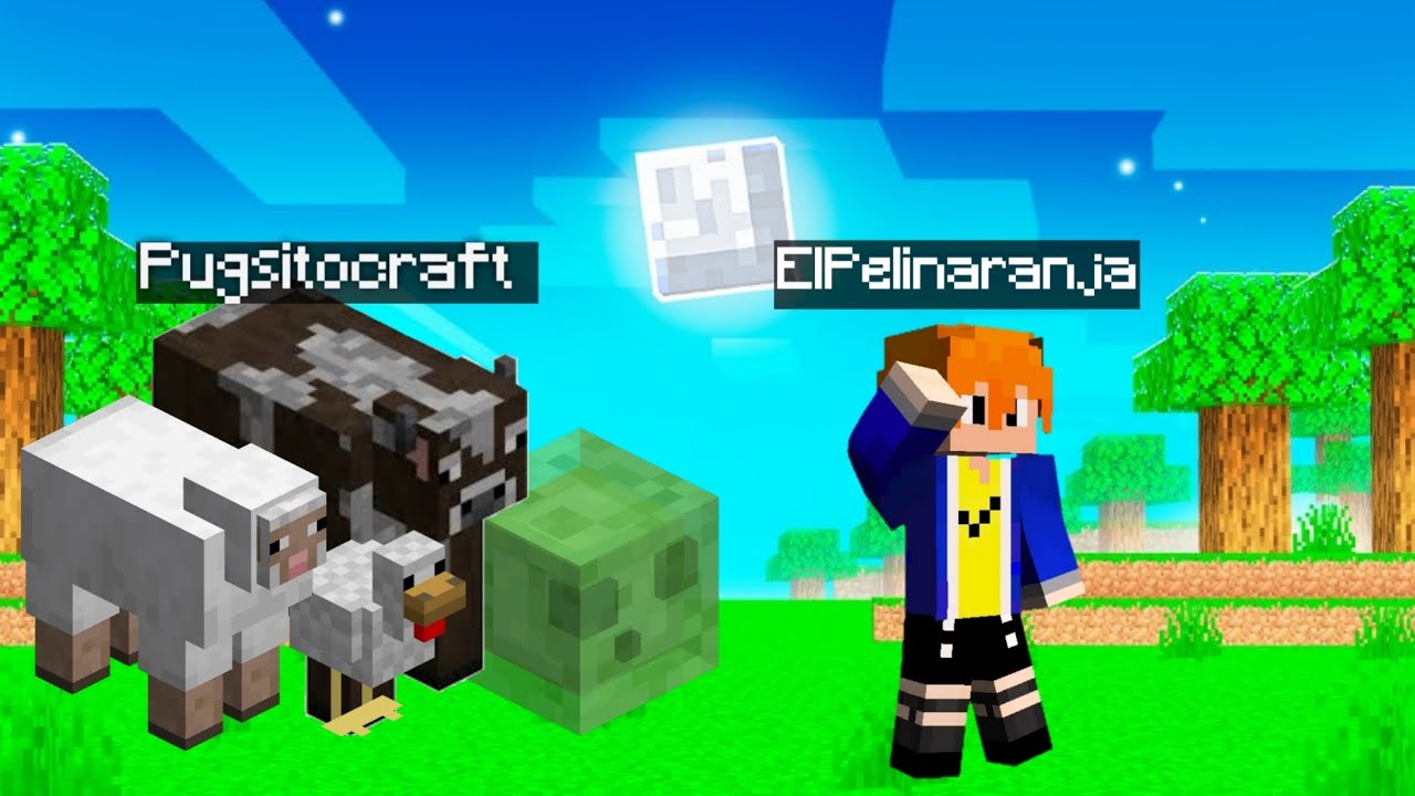 ESCONDITE DE MOBS CON 