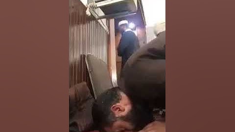 القارئ : عماد جلوال