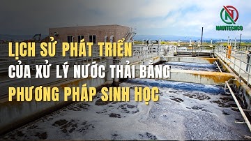 Tổng quan về công nghệ xử lý nước thải bằng phương pháp sinh học