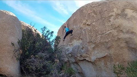 Satellite Left**** 🛰️⬅️ (V3) Flash - Joshua Tree