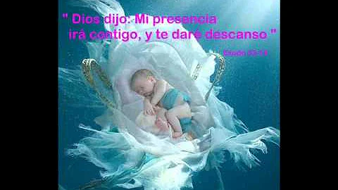 Mi Amado Mercedes Jimenez Yajaira)