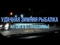 Удачная зимняя рыбалка на сига. 30-е января 2021.