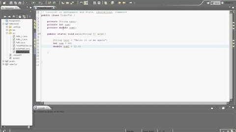 assignment, commenting and coding style in Java