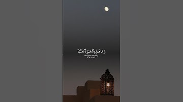 قرآن كريم بصوت #ياسر_الدوسري #قرآن #quran #fypシ゚viral #اكسبلور #allah #fyp
