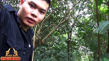 Hướng dẫn tự làm côn nhị khúc gỗ tại nhà - How to make wood  nunchaku at home - Mr. Huy Côn