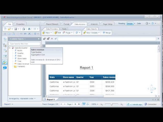 View the metadata for objects: SAP BusinessObjects Web Intelligence 4.0