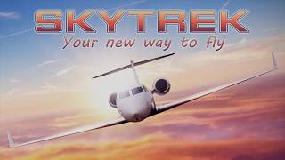 SkyTrek - VR Flight Simulator with WRLD dynamic map screenshot 3