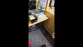 Chinese Street food Live Streaming Mochi 2026-07-10 17:48:36