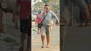Hiruk pikuk pasar sapi ambarketawang !!