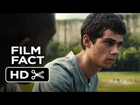 The Maze Runner Film Fact (2014) Dylan O'Brien Dystopian Movie HD