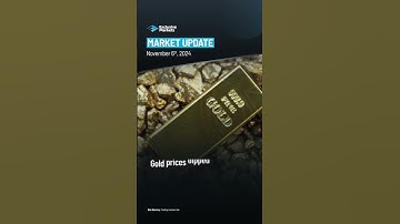 Daily Market Update: November 6, 2024 #Bitcoin #Gold #DowJones
