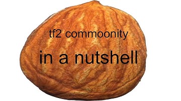 the tf2 community in a nutshell