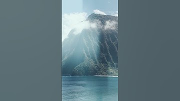 Thumbnail of Ryan Davis reveals his second single 'Waialeale' #Shorts