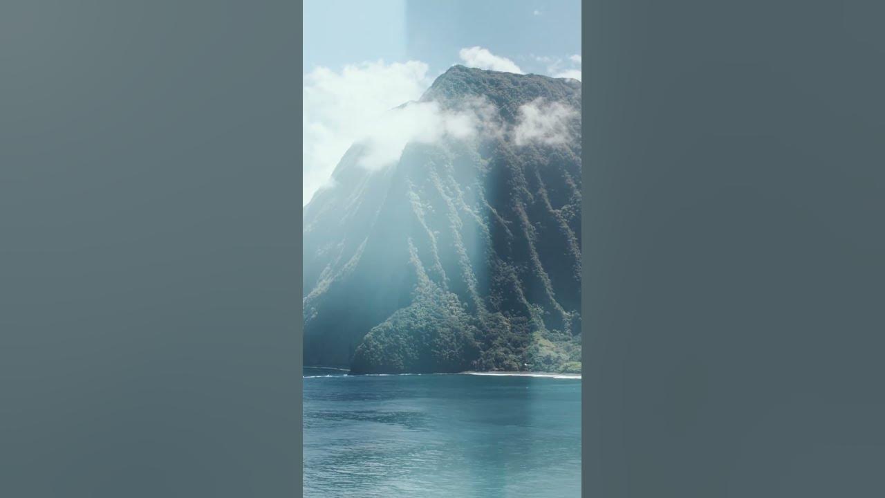 Ryan Davis reveals his second single 'Waialeale' #Shorts Ryan Davis reveals his second single 'Waialeale' #Shorts
