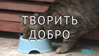 Потребность творить добро