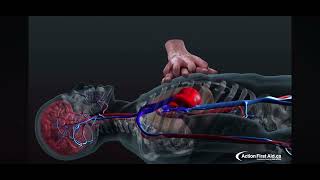 The Physiology of CPR